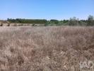 Vente Terrain Alpiarca ALPIARA�A 1500 m2 Portugal