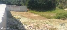 Vente Terrain Alvarelhos CORONADO-(SAO-ROMAO-E-SAO-MAMEDE) 270 m2 Portugal