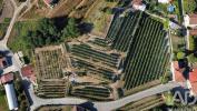Vente Terrain Amarante FIGUEIRA�-(SANTIAGO-E-SANTA-CRISTINA) 7981 m2 Portugal