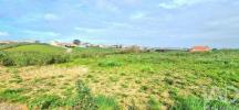 Vente Terrain Amoreiras ERICEIRA 10001 m2 Portugal