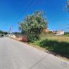 Vente Terrain Anadia SAO-LOURENAO-DO-BAIRRO 187 m2 Portugal