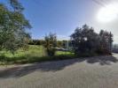Vente Terrain Anadia SANGALHOS 1600 m2 Portugal