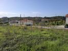 Vente Terrain Anadia SANGALHOS 2600 m2 Portugal