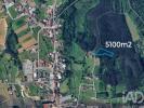 Vente Terrain Anadia SANGALHOS 5100 m2 Portugal