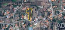 Vente Terrain Anadia AVELA�S-DE-CIMA 1918 m2 Portugal