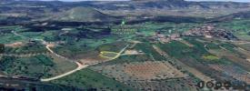 Vente Terrain Ansiao  1250 m2 Portugal