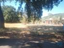 Vente Terrain Ansiao CHAO-DE-COUCE 1480 m2 Portugal