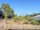 Vente Terrain Arada MACEDA 7500 m2 Portugal