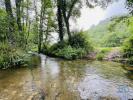 Vente Terrain Arganil ARGANIL 5900 m2 Portugal