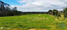 Vente Terrain Aveleda GUILHABREU 6057 m2 Portugal
