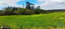 Vente Terrain Aveleda GUILHABREU 7539 m2 Portugal