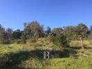 Vente Terrain Azinh-barros-s-mam-sadao SANTA-MARGARIDA-DA-SERRA 32767 m2 Portugal