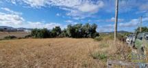 Vente Terrain Azueira ENXARA-DO-BISPO,-GRADIL-E-VILA-FRANCA-DO-ROSARIO 31600 m2 Portugal