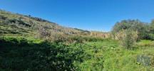 Vente Terrain Azueira VENDA-DO-PINHEIRO-E-SANTO-ESTA�VA�O-DAS-GALA�S 11625 m2 Portugal