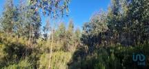 Vente Terrain Azueira VENDA-DO-PINHEIRO-E-SANTO-ESTAVAO-DAS-GALAS 15374 m2 Portugal