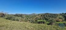 Vente Terrain Azueira VENDA-DO-PINHEIRO-E-SANTO-ESTAVAO-DAS-GALAS 5375 m2 Portugal