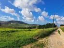 Vente Terrain Azueira AZUEIRA-E-SOBRAL-DA-ABELHEIRA 32767 m2 Portugal