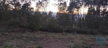 Vente Terrain Banho-e-carvalhosa SANTO-ISIDORO-E-LIVRAAAO 4200 m2 Portugal