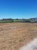 Vente Terrain Barcelos FORNELOS 1500 m2 Portugal