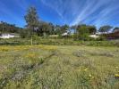 Vente Terrain Barcelos CAMPO-E-TAMEL-(SAO-PEDRO-FINS) 1200 m2 Portugal