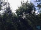 Vente Terrain Barco CORTES-DO-MEIO 32767 m2 Portugal
