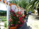 Vente Terrain Beja CABEAA-GORDA 32767 m2 Portugal