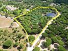 Vente Terrain Benavente SANTO-ESTEVA�O 32767 m2 Portugal