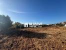 Vente Terrain Boliqueime  2000 m2 Portugal