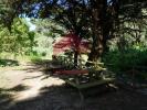 Vente Terrain Bombarral CARVALHAL 2000 m2 Portugal