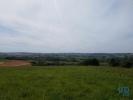 Vente Terrain Bombarral CARVALHAL 5880 m2 Portugal