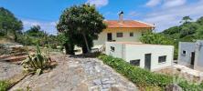 Vente Maison Bombarral ROLIA§A 450 m2 Portugal