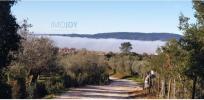 Vente Terrain Borba BORBA-(MATRIZ) 18750 m2 Portugal