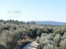 Vente Terrain Borba BORBA-(MATRIZ) 32767 m2 Portugal