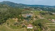 Vente Maison Cabeceiras-de-basto  488 m2 Portugal