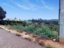 Vente Terrain Cadaval CADAVAL-E-PARO-MONIZ 4574 m2 Portugal