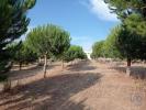 Vente Terrain Cadaval CADAVAL-E-PARO-MONIZ 30000 m2 Portugal