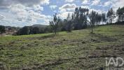 Vente Terrain Cadaval LAMAS-E-CERCAL 7500 m2 Portugal