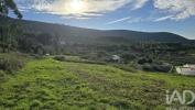 Vente Terrain Cadaval LAMAS-E-CERCAL 7000 m2 Portugal