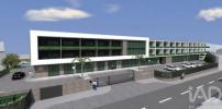 Vente Terrain Cadaval VILAR 8000 m2 Portugal