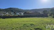 Vente Terrain Cadaval LAMAS-E-CERCAL 12000 m2 Portugal