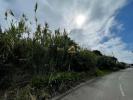 Vente Terrain Calheta  1020 m2 Portugal
