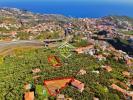 Vente Terrain Camara-de-lobos 1920 m2 Portugal