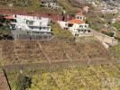 Vente Terrain Camara-de-lobos ESTREITO-CA�MARA-DE-LOBOS 1150 m2 Portugal