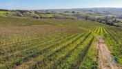 Vente Terrain Campelos CARVOEIRA-E-CARMAES 32767 m2 Portugal