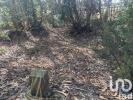 Vente Terrain Campelos RAMALHAL 24955 m2 Portugal