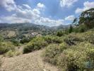 Vente Terrain Canecas RAMADA-E-CANEAAS 2560 m2 Portugal