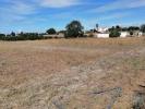 Vente Terrain Canha PEGAES 24750 m2 Portugal