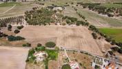 Vente Terrain Canha PEGAES 31738 m2 Portugal