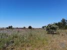 Vente Terrain Canha PEGAES 32767 m2 Portugal