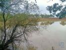Vente Terrain Canha PEGAµES 32767 m2 Portugal